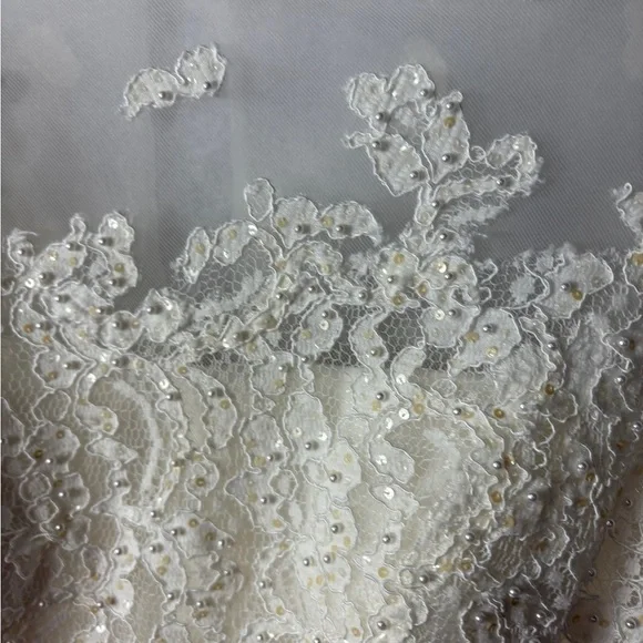 Ivory Lace A-Line Dress with Sheer Cap Sleeves - Picture 3 of 6